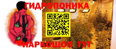 трава Краснодар