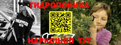 трава Краснодар