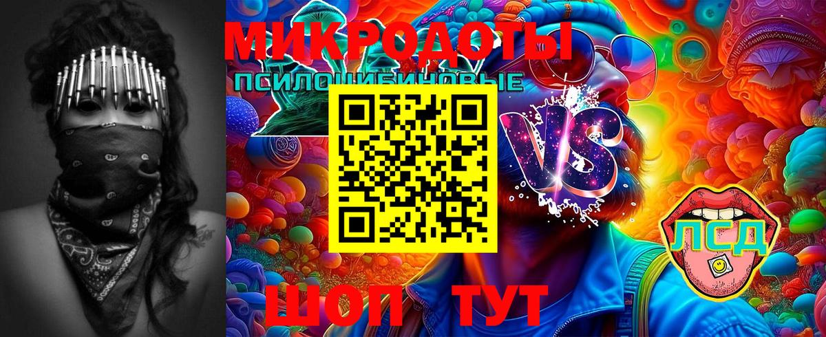Псилоцибиновые грибы MAGIC MUSHROOMS Домодедово